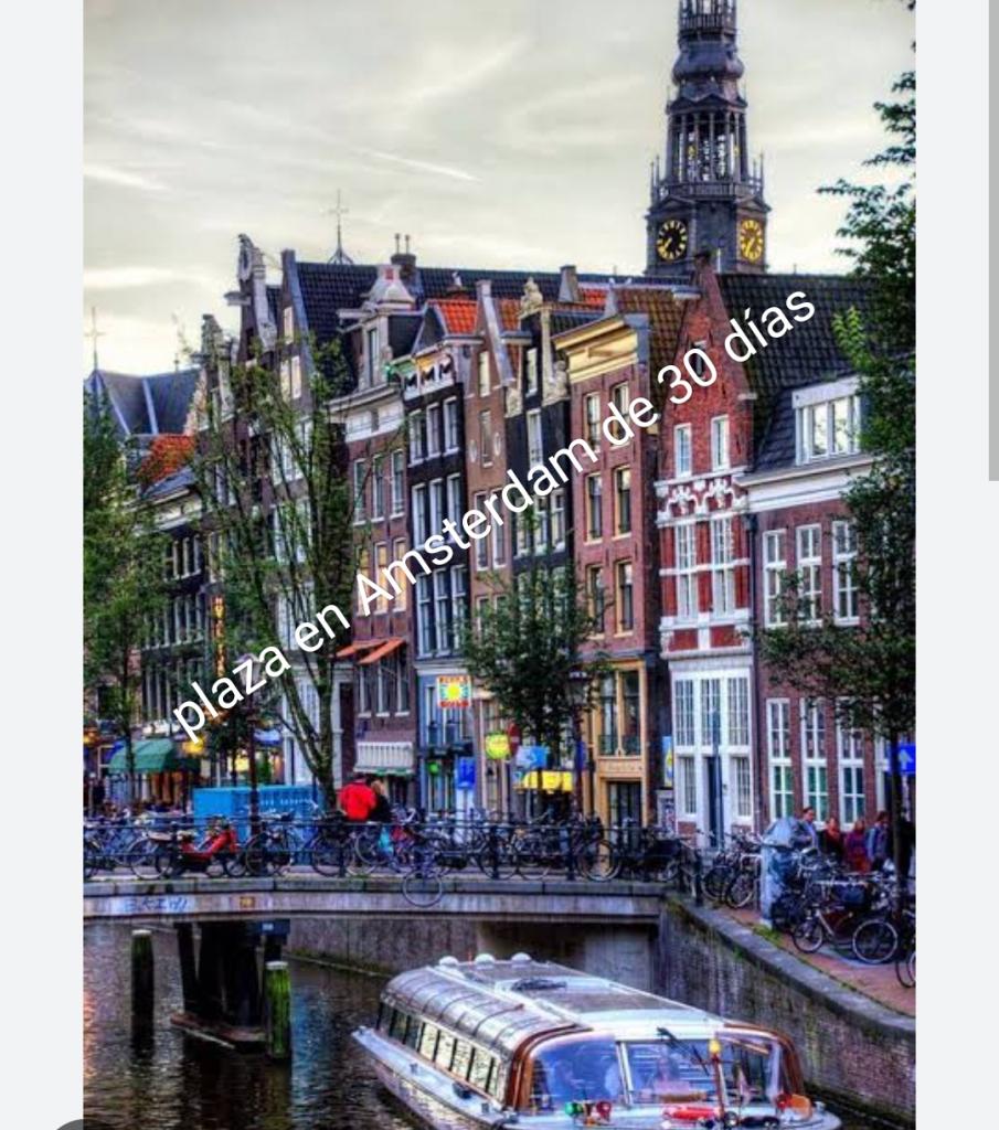 623742456: Chica busca chico en Madrid