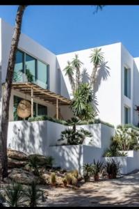 624623730:  en Ibiza