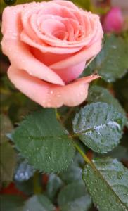 690968764:  en Zaragoza