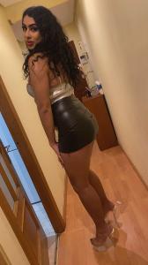 611298169: Travesti en Navarra