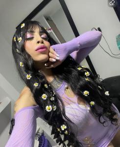 Transexual en Alicante: 