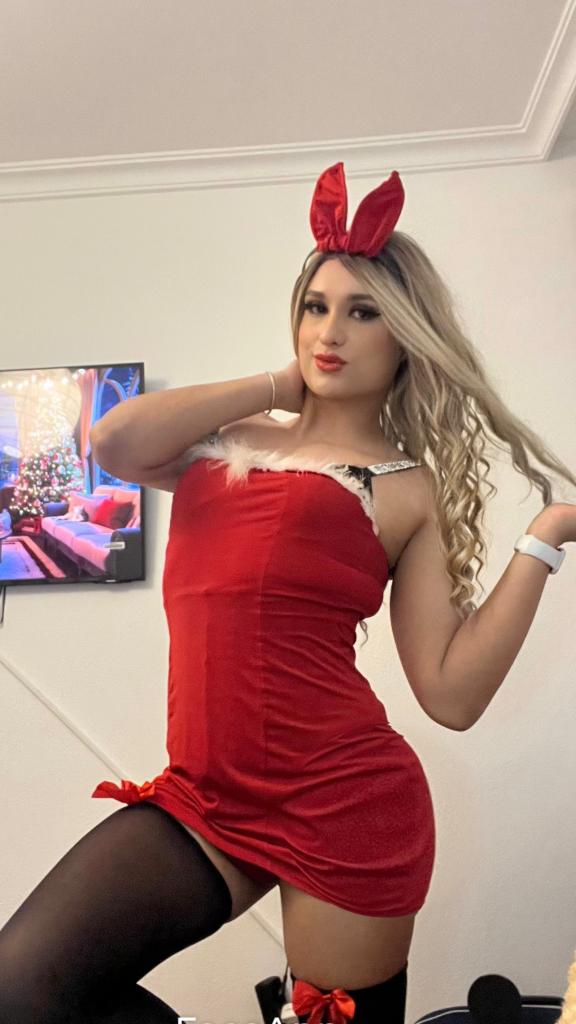 Travesti en Zaragoza: 