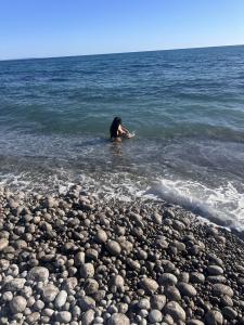 643519534: Chica busca chico en Ibiza