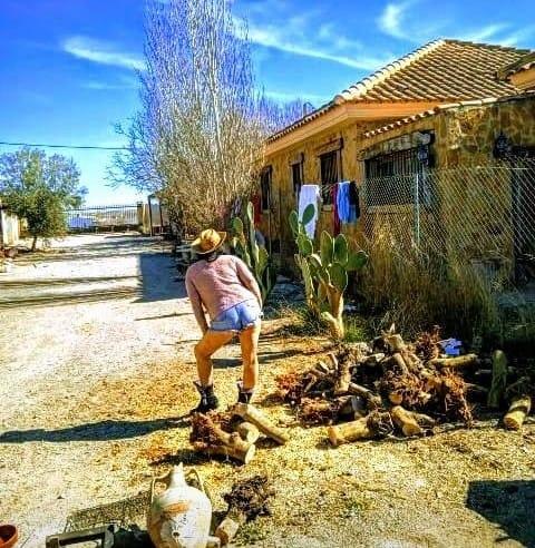 Virtual en Almería: 