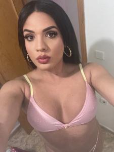 Travesti en Alicante: 