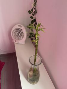 642197532:  en Málaga