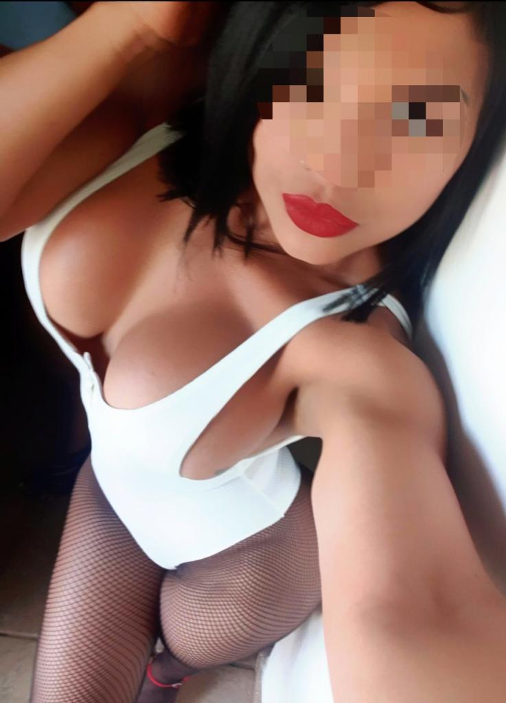 Chica busca chico en Navarra: 