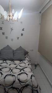 613579305:  en Alicante