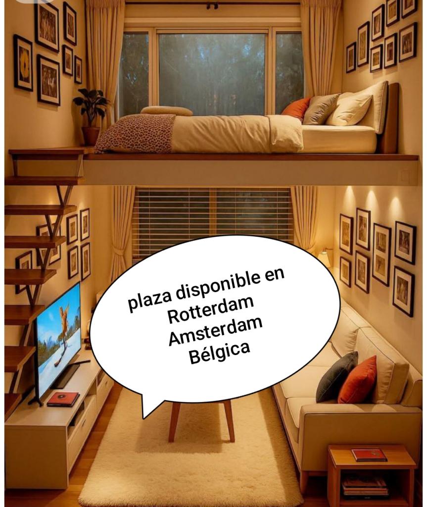 623742456:  en Soria