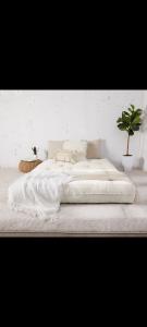 613811207:  en Mallorca