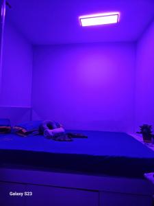 673866269: Chica busca chico en Barcelona