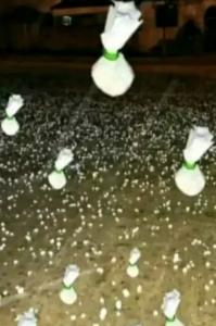 613614399: Chica busca chico en Asturias