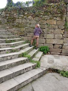 722330282: Virtual en Cantabria