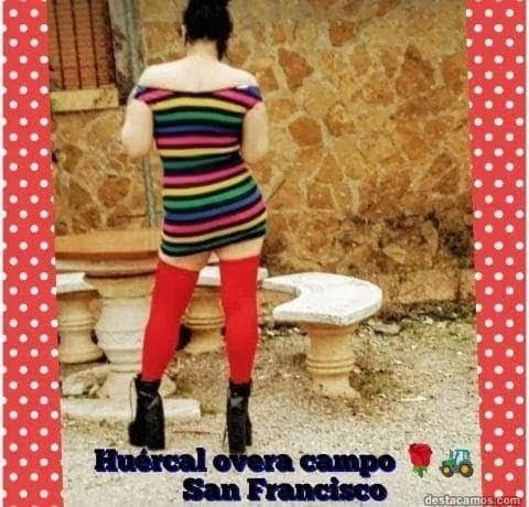 Chica busca chico en Almería: 