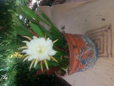 631084309: Chica busca chico en Tarragona