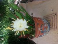 631084309: Chica busca chico en Tarragona