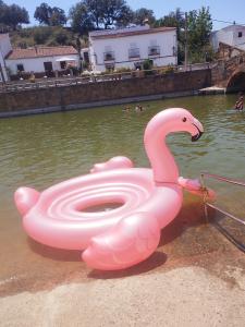 665901426:  en Sevilla