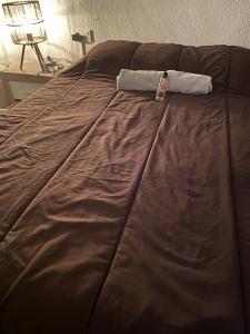 Chico busca chica en Alicante: 