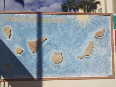 652207259: Chico busca chica en Las Palmas