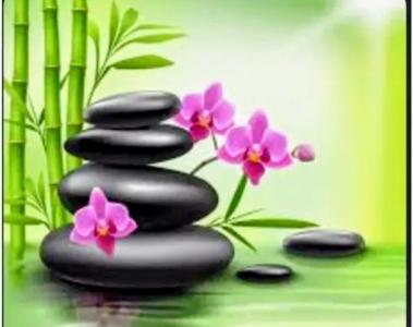 695254861: Chica busca chico en Castellón