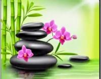 695254861: Chica busca chico en Castellón