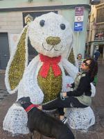 665434946: Transexual en Tarragona