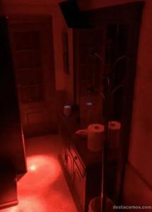 Transexual en Valencia: 