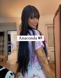 613271379: Travesti en Sevilla