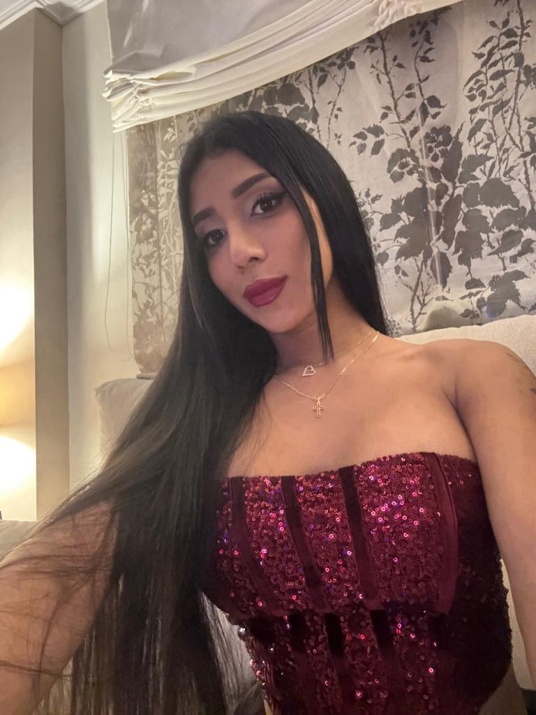 678667377: Travesti en Zaragoza