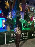 635100881: Chica busca chico en Jaén