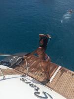 613503977: Chica busca chico en Ibiza